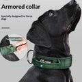 Ulaishi Dog Collar And Leash Set