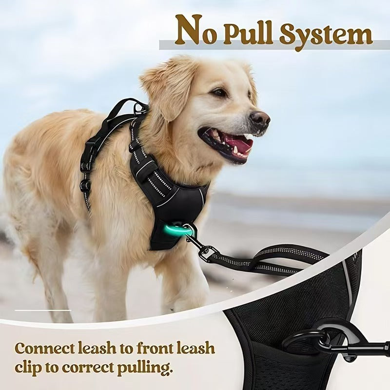 All-in-One Dog Harness & Leash Se