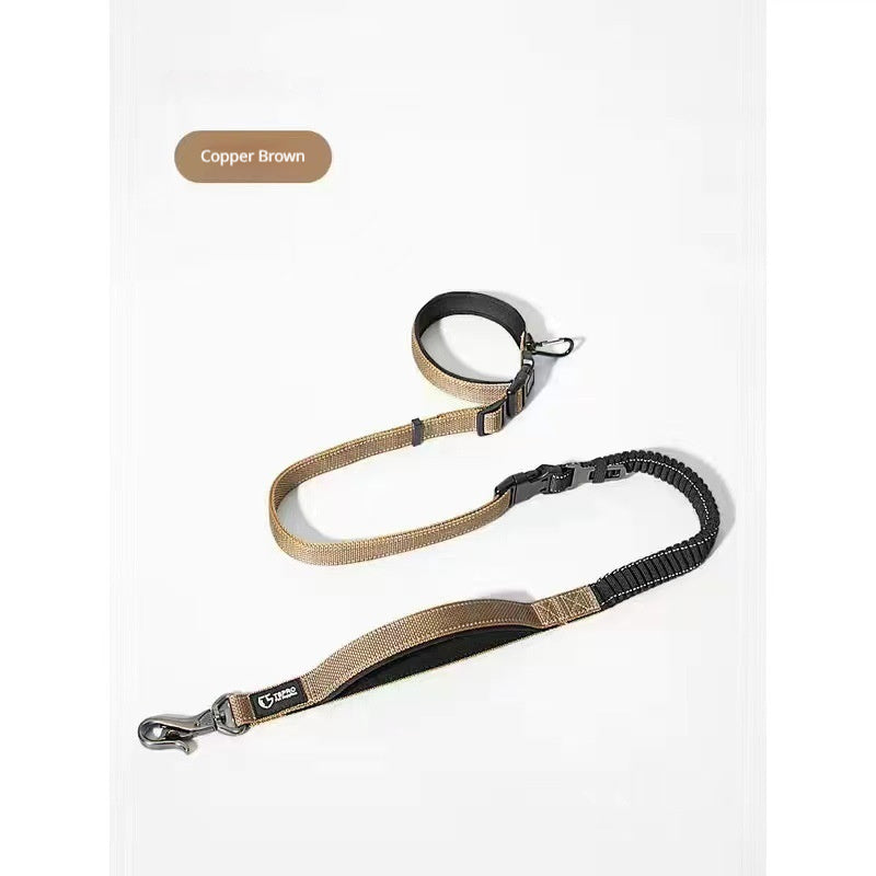 Ulaishi Dog Collar And Leash Set