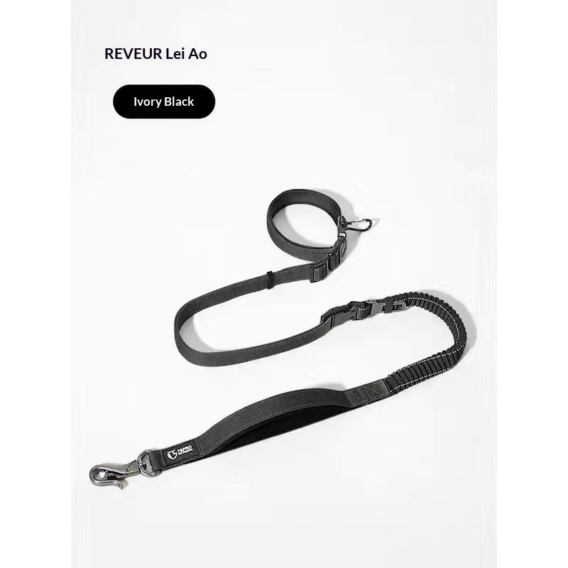 Ulaishi Dog Collar And Leash Set