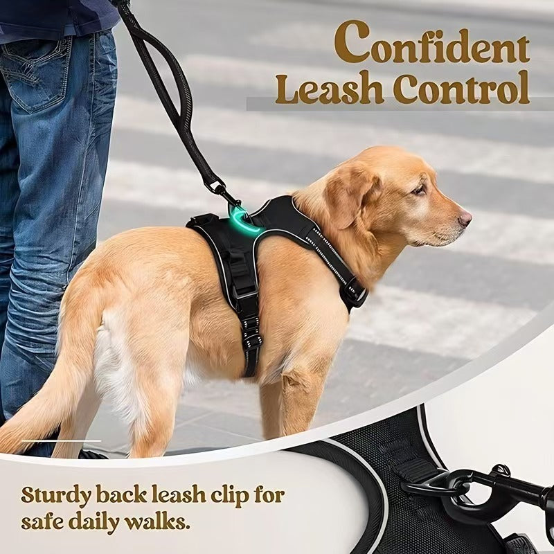 All-in-One Dog Harness & Leash Se
