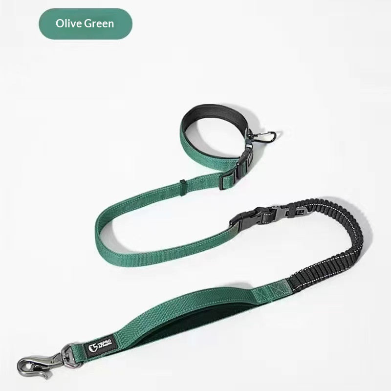Ulaishi Dog Collar And Leash Set